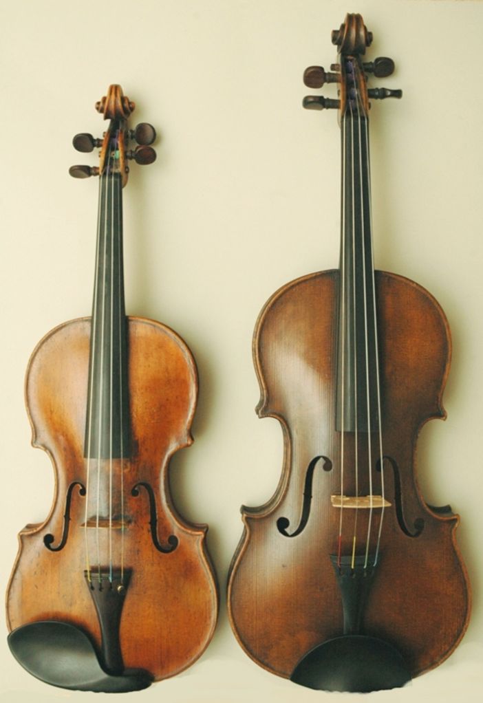 Violin_Viola